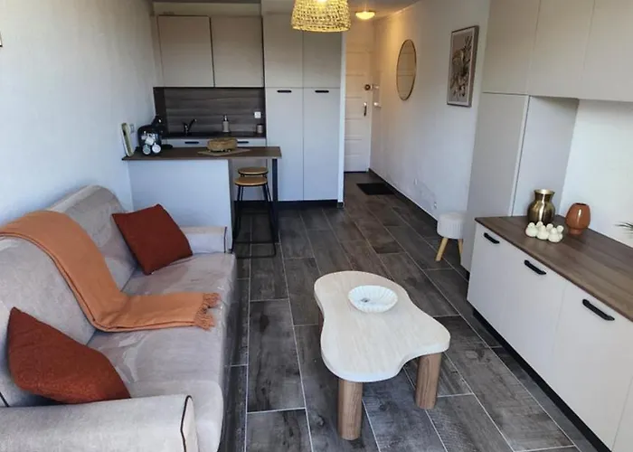 Cosy Avec Terrasse Διαμέρισμα *