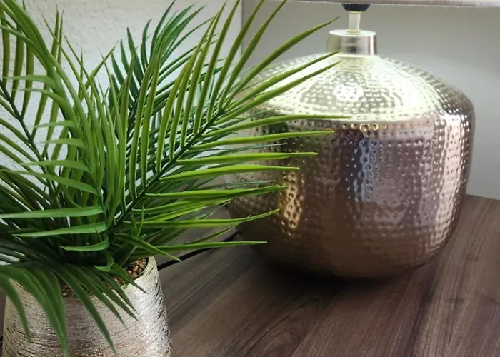 Cosy Avec Terrasse *